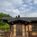 산삼꽃피는마을