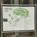 보성 | 대한다원 보성 녹차밭 후기｜입장료·기념품샵·포토스팟·카페 총정리