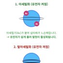 히스톤(HisTone) 이미지