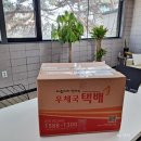 달빛과일 이미지