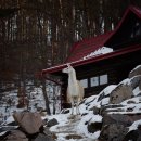 화성목욕탕 | 화성 율암온천 숯가마 식당 메뉴 삼겹살 맛집 후기