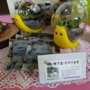 김인현 농장 네이버블로그