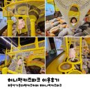 허니점핑팡팡 | 용인 기흥 대형키즈카페 허니펀키즈파크 가성비 좋아요!