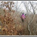 이윤 농장 이미지