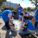 서귀포시 다문화가족지원센터 이미지