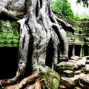 캄보디아 여행ㅣ[추천여행] 캄보디아 앙코르와트, 매혹적인 고대 왕국 이미지