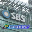 SBS TV동물농장 323회 2007년7월29일 "하수도 고양이 "2편 이미지