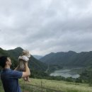 해피알프스 이미지