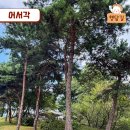 어서각 네이버블로그