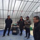 별빛민박농원 이미지