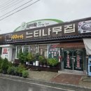 제천횟집 | 제천 청풍 맛집 40년전통 노포 느티나무횟집 송어회 포장후기