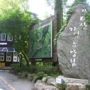 [1차 대전시 경계걷기] 7구간(장태산 휴양림-떡갈봉-우명교) 산행