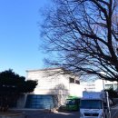 서울대학교병원 이미지