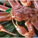 대게 이야기 (스노우크랩 : Snow Crab) 이미지