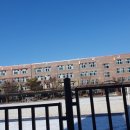 포이초등학교 이미지