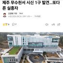 제주 무수천서 시신 1구 추가 발견…또다른 실종자 이미지