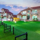 퍼피스테이 온수수영장 애견펜션 이미지