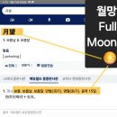 🚨래프콘 Rapcon 1단계 발령 🤔2026년 핑크문 스프링 시즌 (Feat. 니쥬 Too Bad M/V작품 심층 분석) 이미지