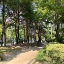 시영아파트 앞 버스정류장 이미지