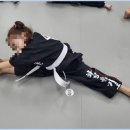 화랑합기도 특공무술 이미지