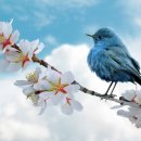 영통한의원 이미지