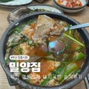 돼지국밥집 | 부산 풍자 또간집 깡통시장 돼지국밥 밀양집 지극히 솔직 후기