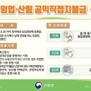 임업직불금 접수 마감 임박..산림청 "8월 1일까지 꼭 신청" 이미지