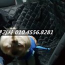 A+ 펫택시 네이버블로그