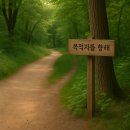 당신은 지금 어디로 가고 있나요? | 걷는 자와 가는 자, 당신은 지금 어디로 향하고 있나요?