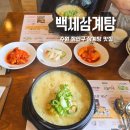 경기도 수원시 장안구 경수대로 | 수원 장안구 맛집 백세삼계탕 수원조원점 건강검진 후 몸보신