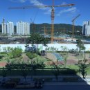 비타민 당구장 이미지