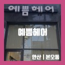 예쁨헤어 - 남양주시 해밀예당3로 122 | [안산/본오동] 본오동미용실 예쁨헤어 카나토 클리닉 후기, 푸석한 머릿결 관리 성공!
