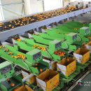 신효월라봉영농조합법인 이미지