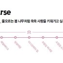 봄내한의원 이미지