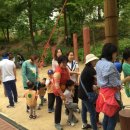 초안산 유아숲체험장 이미지