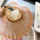 대한수산회센타 이미지