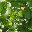 잔누르미 네이버블로그