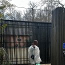 대야펜션 이미지