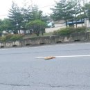 파레스여관 이미지