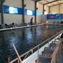 수원 락 실내바다 낚시터 이미지