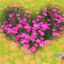 와룡초교 이미지