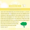 나무비전