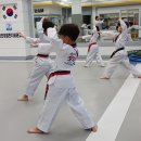용인대 금호태권도 이미지