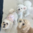 연제구-136 이미지