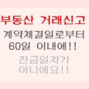 해태부동산중개 이미지