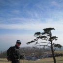 대공산성 등산로 이미지