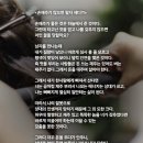 손재주가 많으면 팔자가 세다. 이미지