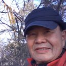 용산-194 Daum카페
