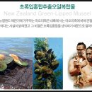 팔팔중국식품 이미지