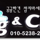 성환애견 백화점 이미지